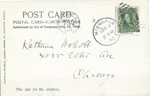 Royal Palms & Tent Florida Undivided Back Dated Mar 3rd 1905