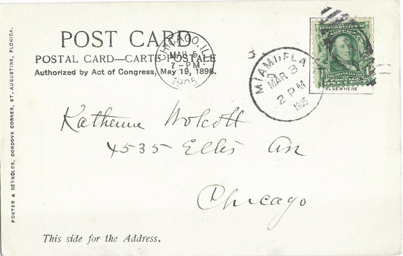 Royal Palms & Tent Florida Undivided Back Dated Mar 3rd 1905