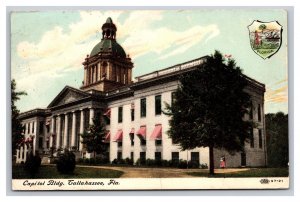 Vintage 1910s Postcard Capitol Building, Tallahassee, Florida