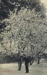 Catholic Church Northfield VT Writing on back