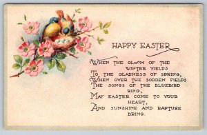 Happy Easter, Birds, Nest, Eggs, Blossoms, Vintage Greetings Postcard