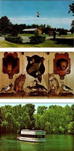 3~Postcards  NE, Nebraska FORT KEARNEY PARK~MUSEUM Taxidermy Animals~Glass Boat