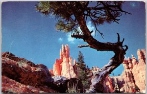 Salt Lake City, Utah, 1956 Bryce Canyon National Park, Queen's Garden, Postcard