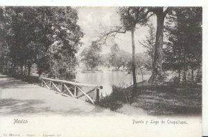 Central America Postcard - Mexico - Puente Y Lago De Chapultepec - Ref 6209A