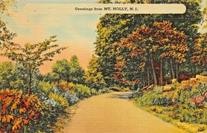 GREETINGS FROM MT HOLLY NEW JERSEY POSTCARD