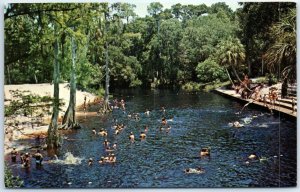 Postcard - Hillsborough River State Park Beach Area, Florida, USA