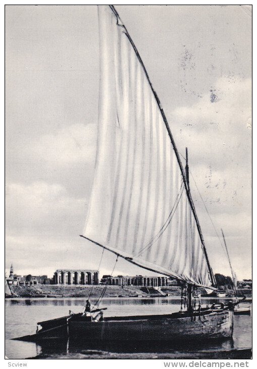 Sailboat , UAR (Egypt) , Luxor , 1964
