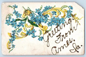 Ames Iowa IA Postcard Greetings Embossed Flowers And Leaves Scene 1912 Antique