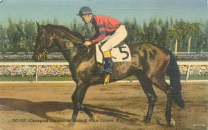 Miami Florida Hialeah Race Track Jockey on Citation 1949 Linen Postcard