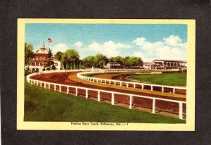 MD Pimlico Race Track Horse Racing Horses BALTIMORE MARYLAND Postcard PC