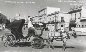 Horse & Carriage Guadalajara Mexico Carruajes Real Photo Postcard D21 