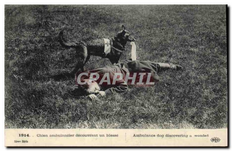 Old Postcard Dogs Dog ambulance discovering a wounded Red Cross Militaria