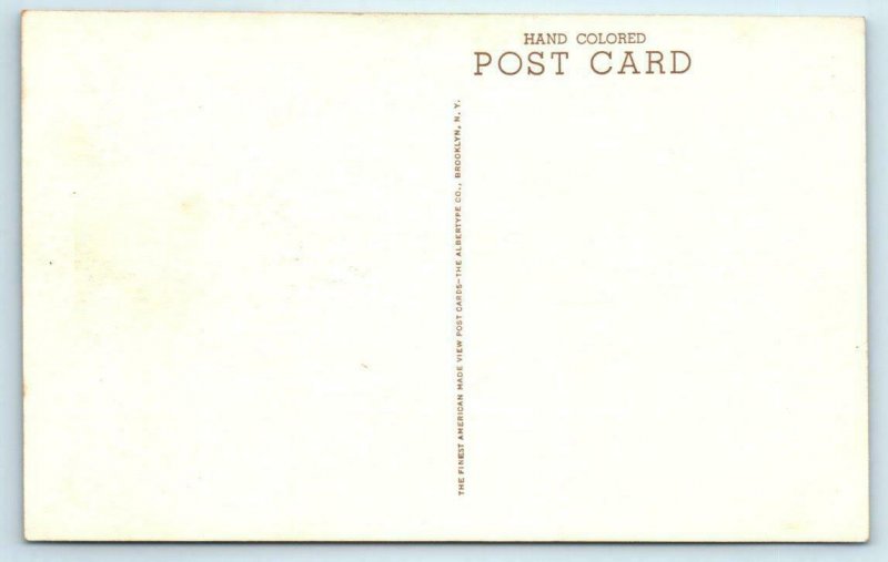 DURHAM, North Carolina NC ~ Handcolored DUKE CHAPEL Duke University  Postcard