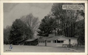 Prattsville New York NY Catskill Mountains Cozy Hollow Log Cabins Vintage PC