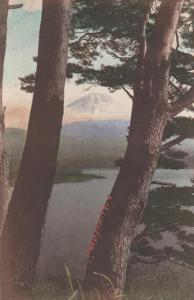 Mount Fuji, Japan - View through Pine Trees - DB