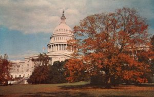 US Capitol,Washington,DC BIN