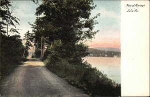 Harveys Harvey's Lake PA Road Scene c1905 Postcard