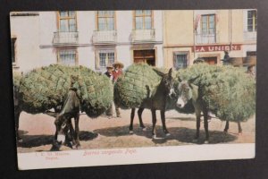 Mint Mexico Postcard Burros Cargando Paja Donkeys Carrying Straw PPC