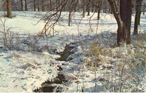 US    PC5002  WINTER'S ERMINE MANTLE VACATION LAND SCENE