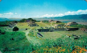 Mexico Ruins of Monte Albán Oaxaca Vintage Postcard 07.37