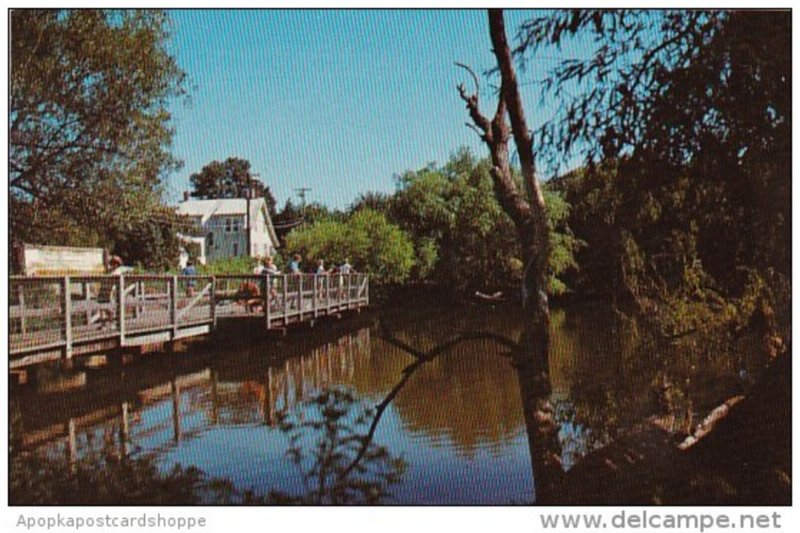 Delaware Rehoboth Children's Fishing Pier Lake Gerar