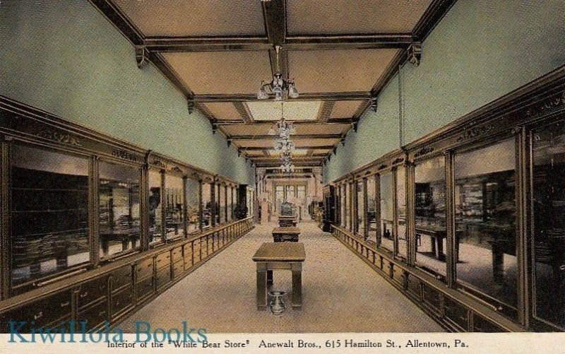 Postcard Interior White Bear Store Anewalt Bros Allentown PA