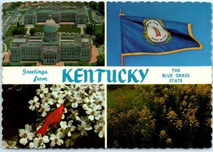 Postcard - The Blue Grass State, Greetings from Kentucky