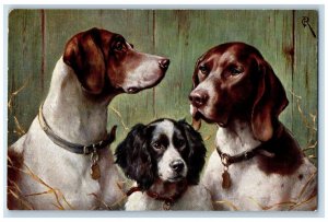 Postcard Two Pointers and Spaniel Dogs c1910 Unposted Oilette Tuck Dogs