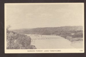 BRANSON MO. LAKE TANEYCOMO MISSOURI SUNKEN FOREST VINTAGE POSTCARD