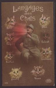 Language of the Cat,Bollenger Postcard 