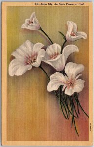 Sego Lily The State Flower Of Utah UT State Floral Emblem Postcard