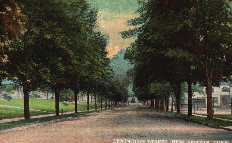 Vintage Postcard Lexington St. Along Pinetrees Landmark New Britain Connecticut