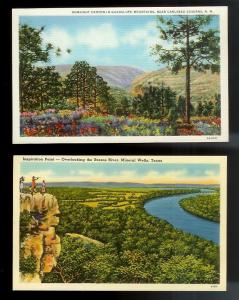 USA (31) Diff Western Scenery Yellowstone unused c1920-1940