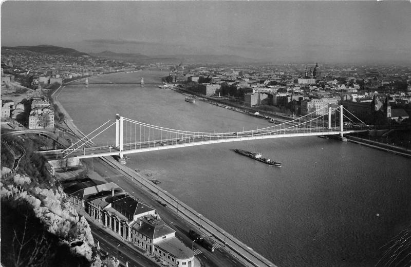 B73505 Elisabeth bridge Budapest Hungary