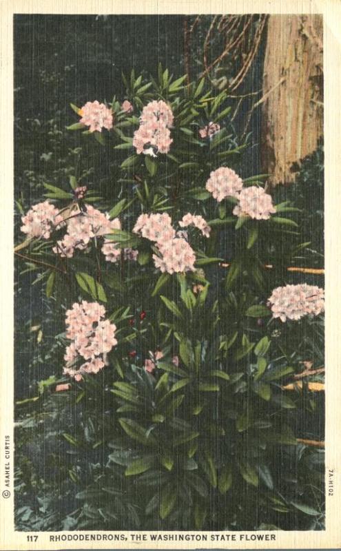 Rhododendrons - The Washington State Flower - Linen