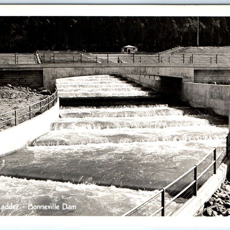 c1940s OR Bonneville Dam Fish Ladder Columbia River RPPC Real Photo Postcard A92