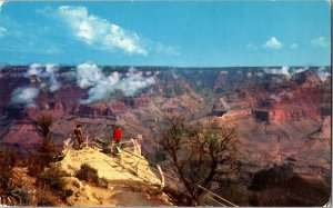 Grand Canyon National Park Arizona Mike Roberts Vintage Postcard Birds Eye View 