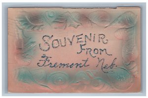 1908 Souvenir Shell Border Air Brushed Fremont Nebraska NE Postcard Embossed