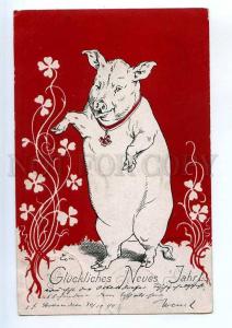 240469 ART NOUVEAU Dancing PIG Vintage NEW YEAR 1899 year PC