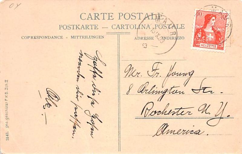 Bear Post Card Old Vintage Antique #1541 postal used unknown