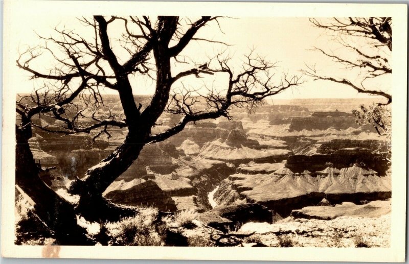 RPPC A View Overlooking the Grand Canyon Vintage Postcard P38 