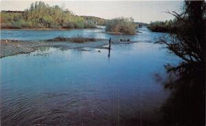 REDDING CALIFORNIA MAN FISHING IN SACRAMENTO RIVER POSTCARD 1960s