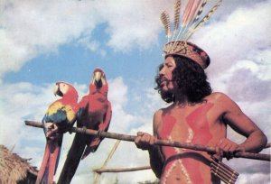 brazil, Native Kaiabi Indian Shaman with Red Macaw (1980s) Postcard