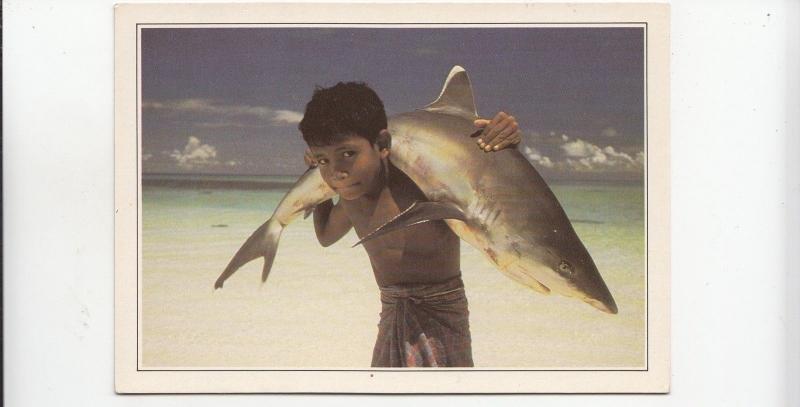 BF17841 maldives islands  whithe tipped shark types child  front/back image