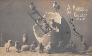 A Happy Easter 1906 Postcard Exaggerated Chicks With Giant Egg Photo Postcard