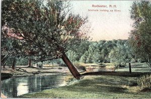 Postcard NATURE SCENE Rochester New Hampshire NH AI3135