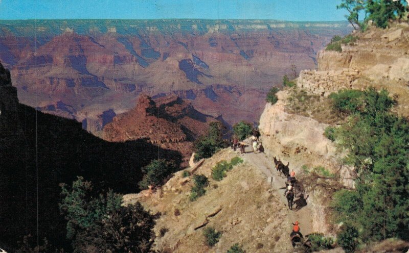 USA Grand Canyon National Park Arizona Vintage Postcard 07.87