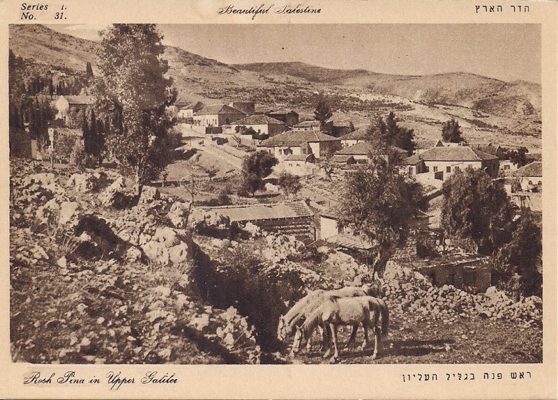 JUDAICA Upper Galilee, Rosh Pina, Farm, Horses, Palestine, Israel, Pre-1948