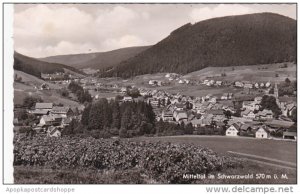 Germany Mitteltal im Schwarzwald Real Photo