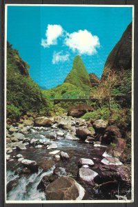 Hawaii, Maui - Iao Needle - [HI-031X]